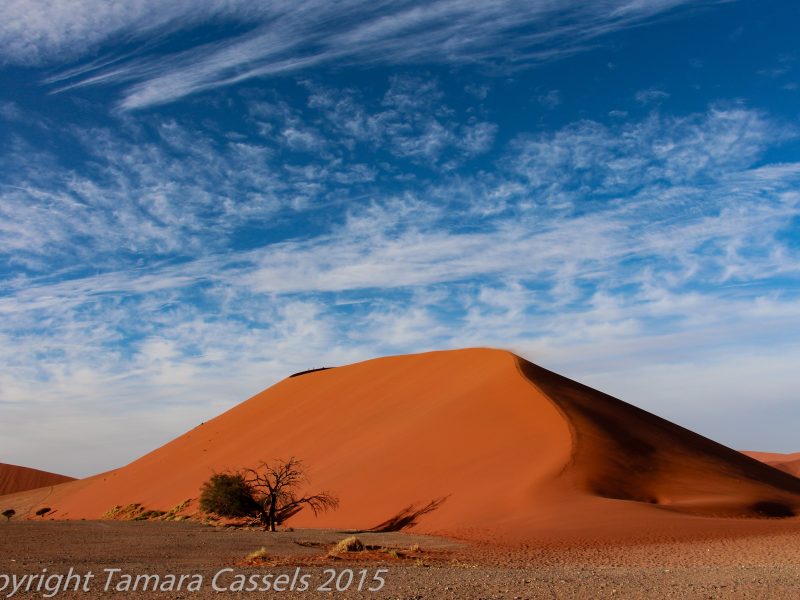 Kalahari Desert Adventure Tours Journeys International