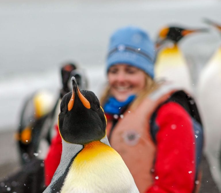 Antarctica Adventure Tours - Journeys International