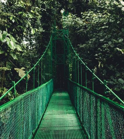 Bridge in Monteverde, Costa Rica
