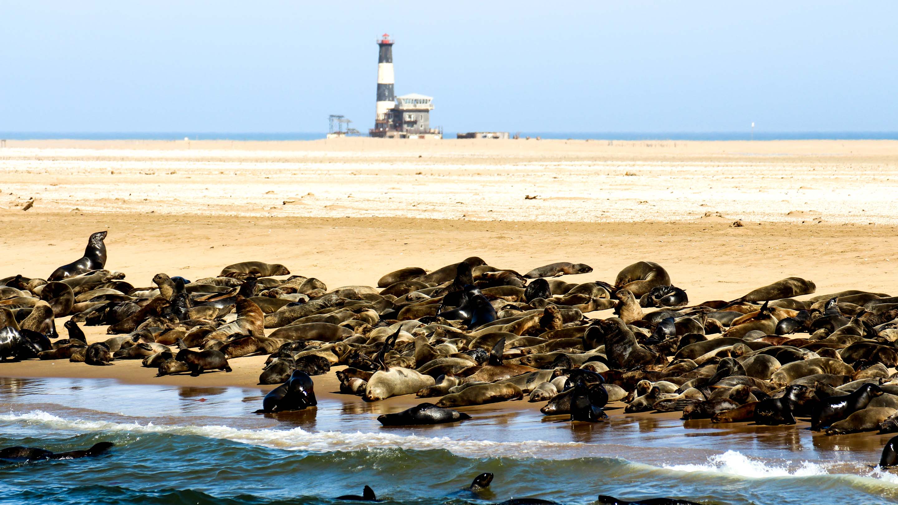 walvis bay namibia africa