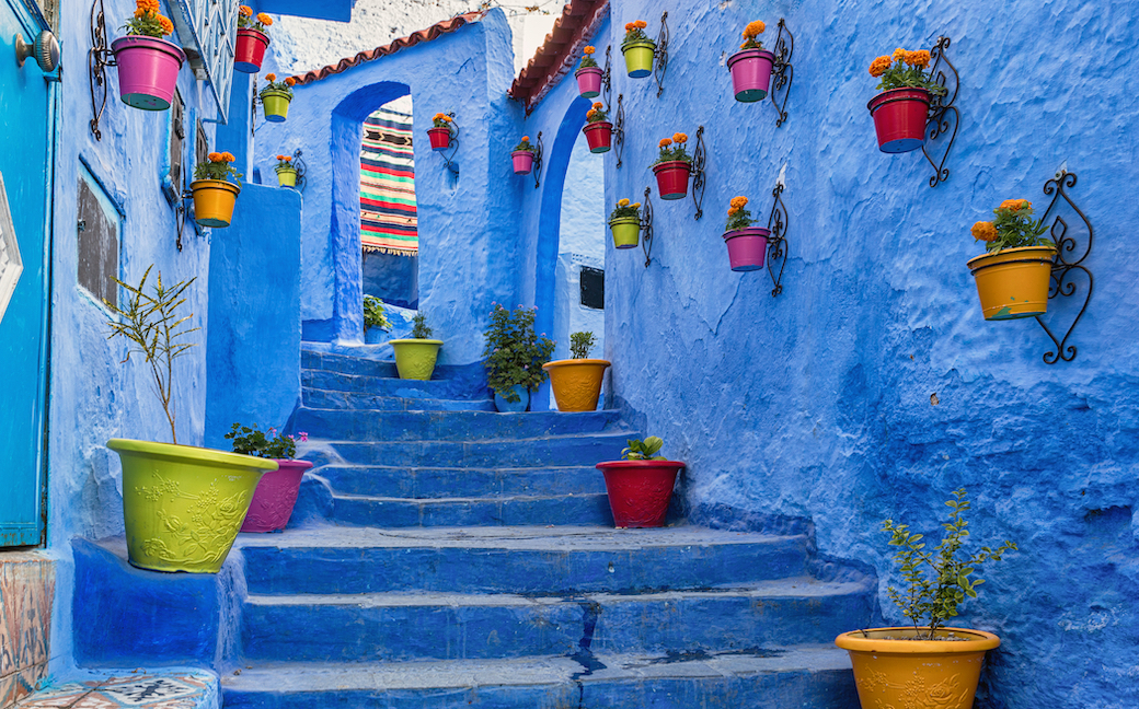 Stairway with blue walls and flowerpots