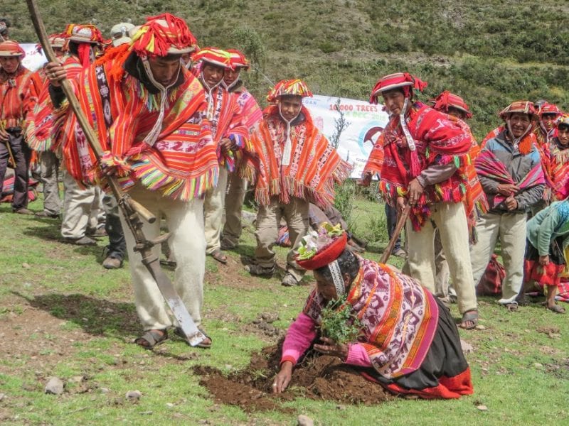 A man and women in traditional clothing plant a tree