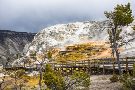 Mammoth Hot Springs