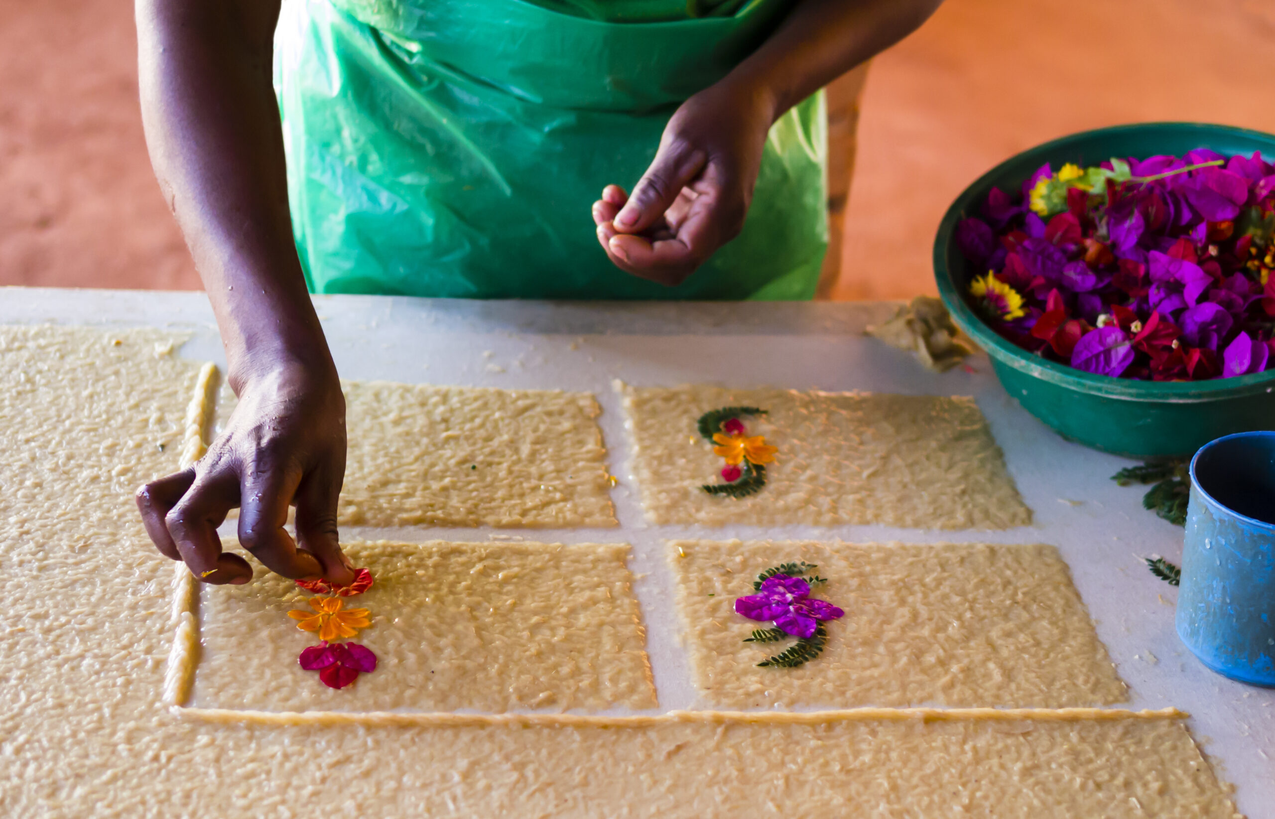 Placement of colored fresh flowers to make Antemoro paper, Ambalavao, Madagascar