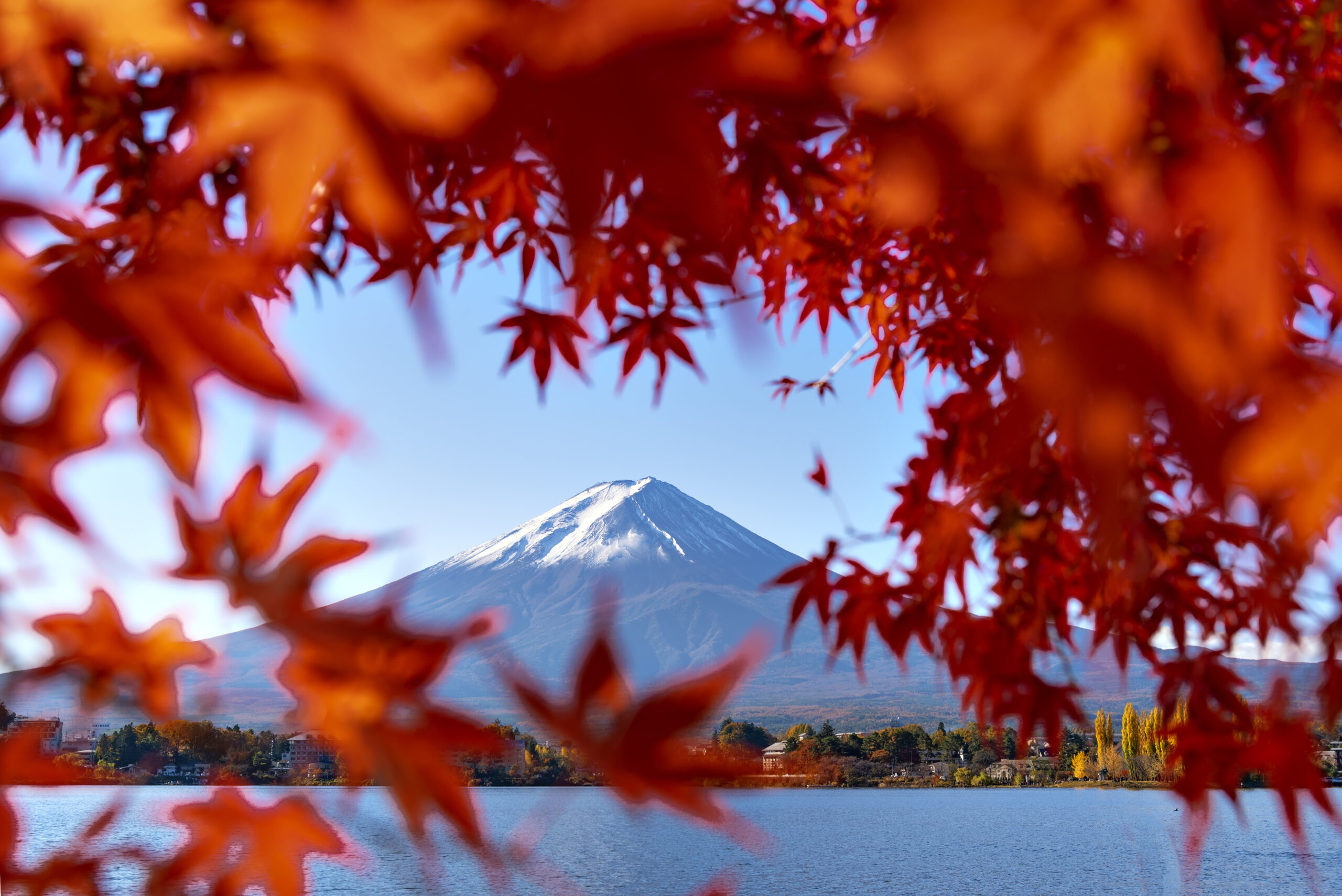 Mt. Fuji